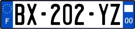 BX-202-YZ