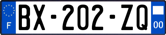 BX-202-ZQ