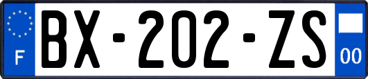 BX-202-ZS