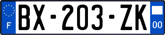 BX-203-ZK