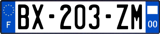 BX-203-ZM