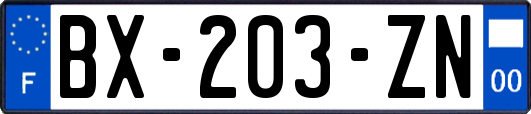 BX-203-ZN