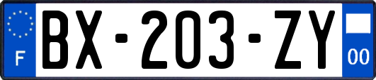 BX-203-ZY