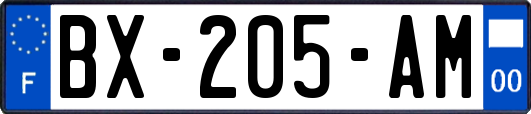 BX-205-AM