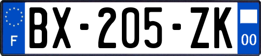 BX-205-ZK