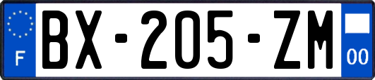 BX-205-ZM