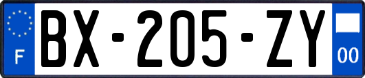 BX-205-ZY