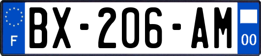 BX-206-AM