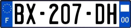 BX-207-DH