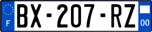 BX-207-RZ