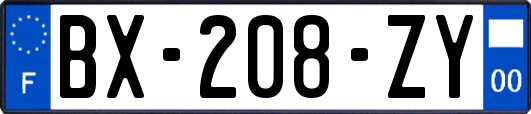 BX-208-ZY