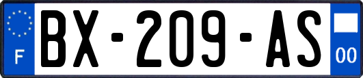 BX-209-AS