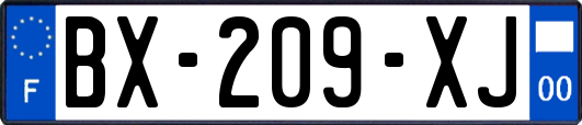 BX-209-XJ