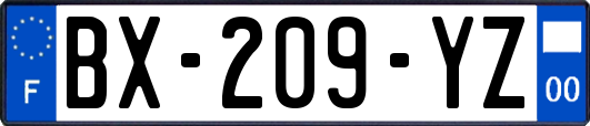 BX-209-YZ