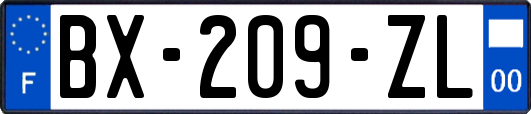 BX-209-ZL