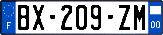 BX-209-ZM