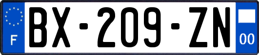 BX-209-ZN