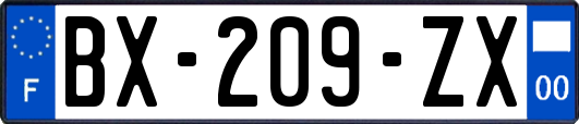 BX-209-ZX