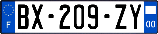 BX-209-ZY