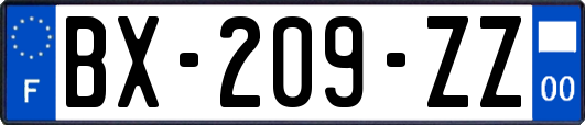 BX-209-ZZ