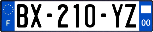 BX-210-YZ