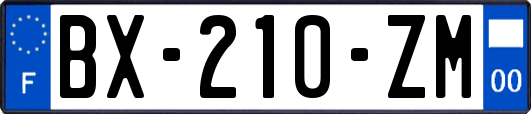 BX-210-ZM