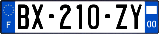 BX-210-ZY