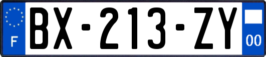 BX-213-ZY