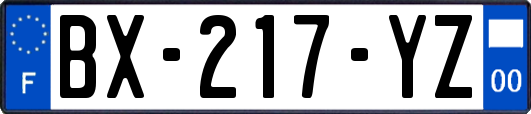 BX-217-YZ