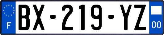 BX-219-YZ