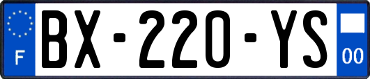 BX-220-YS