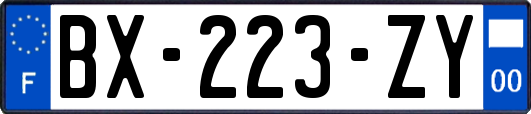 BX-223-ZY