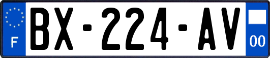 BX-224-AV