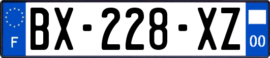 BX-228-XZ