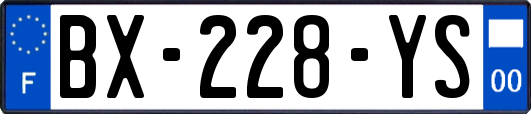 BX-228-YS