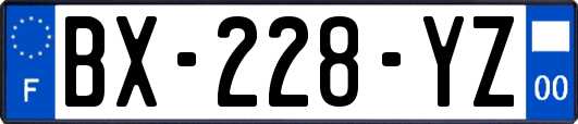 BX-228-YZ