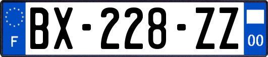 BX-228-ZZ