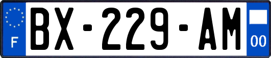 BX-229-AM