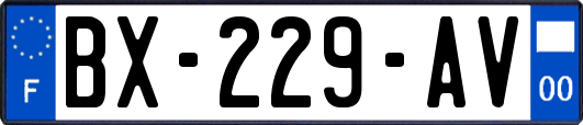 BX-229-AV