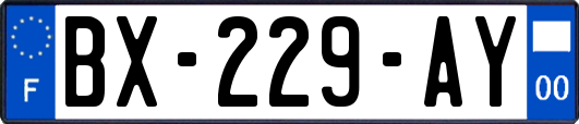 BX-229-AY