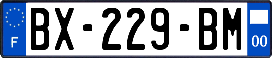 BX-229-BM