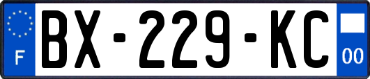 BX-229-KC