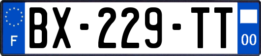 BX-229-TT