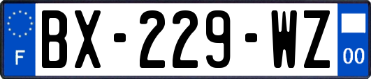 BX-229-WZ