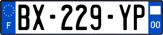 BX-229-YP