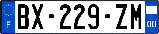 BX-229-ZM