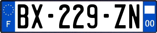 BX-229-ZN