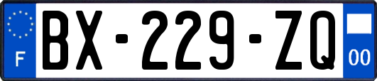 BX-229-ZQ