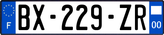 BX-229-ZR