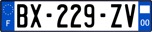 BX-229-ZV